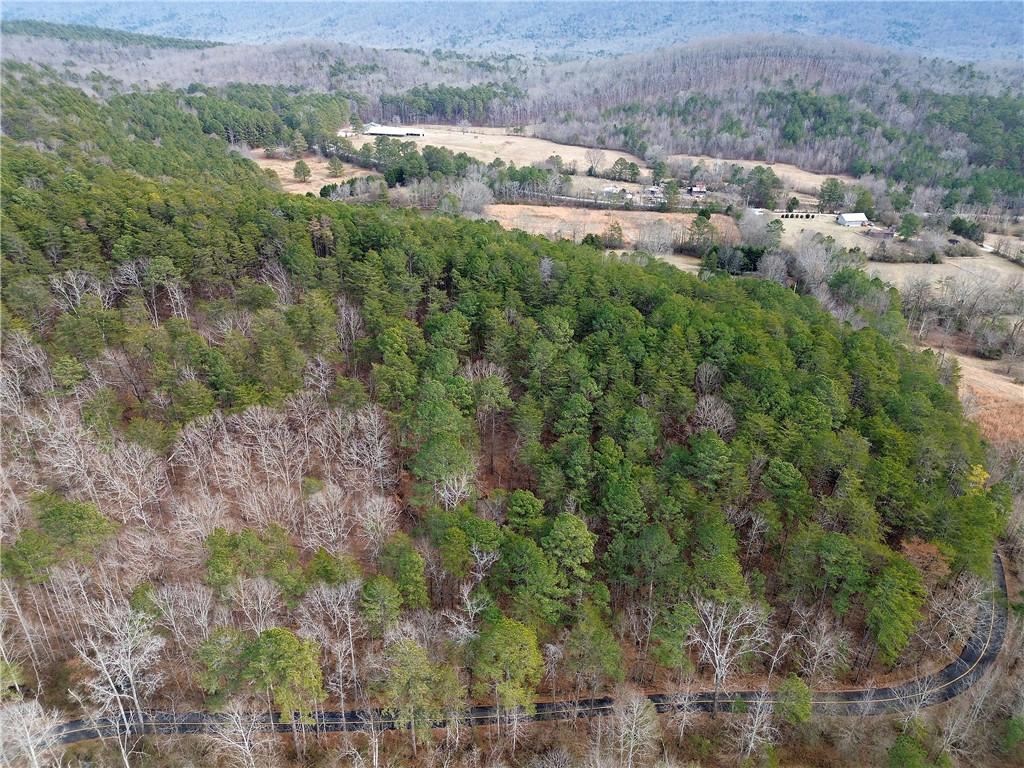 0 Manning Mill Road Summerville, GA 30747 - Photo 11 of 20 an aerial view of residential houses with outdoor space and trees