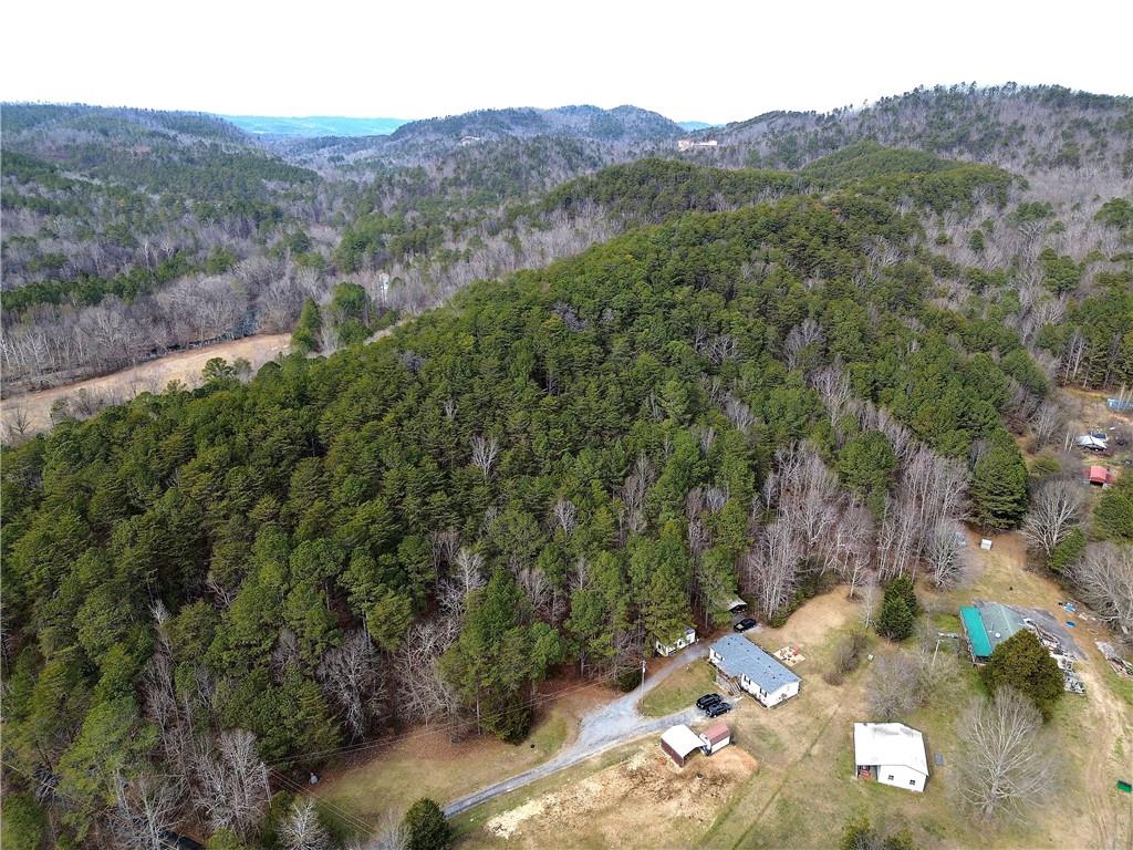 0 Manning Mill Road Summerville, GA 30747 - Photo 13 of 20 an aerial view of a house with mountain view