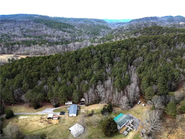 a view of a lush green forest with lots of trees