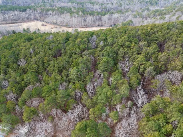 a view of a lake with mountains in the background