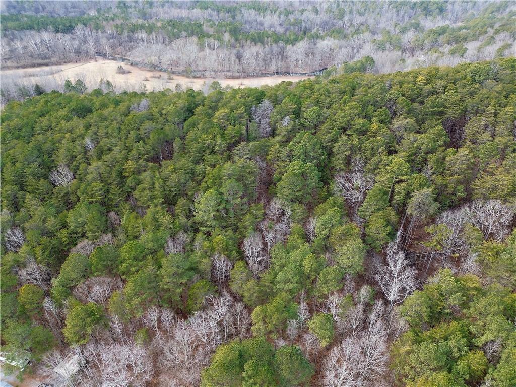 0 Manning Mill Road Summerville, GA 30747 - Photo 15 of 20 a view of a lush green forest with lots of trees
