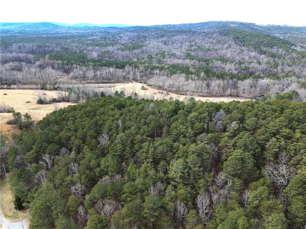 0 Manning Mill Road Summerville, GA 30747 - Photo 16 of 20 a view of a lake with mountains in the background
