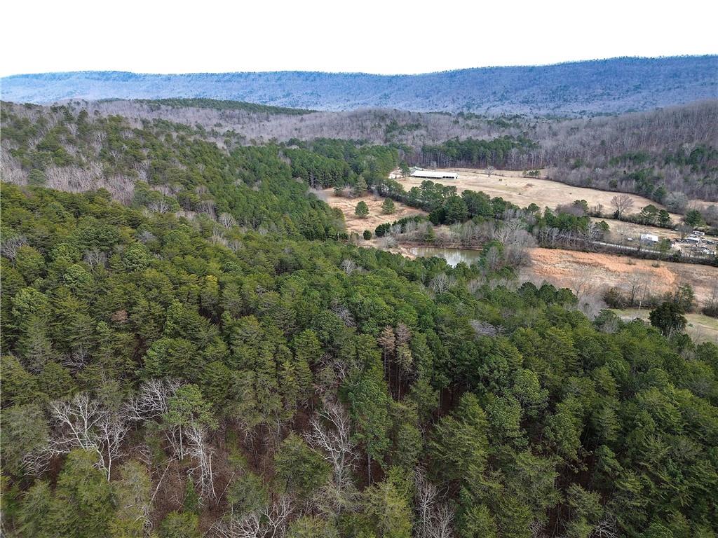 0 Manning Mill Road Summerville, GA 30747 - Photo 17 of 20 a view of a back yard