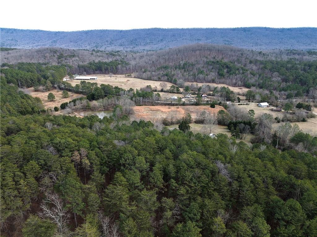 0 Manning Mill Road Summerville, GA 30747 - Photo 18 of 20 an aerial view of residential houses and outdoor space