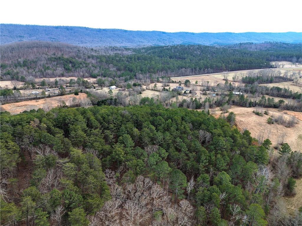 0 Manning Mill Road Summerville, GA 30747 - Photo 19 of 20 an aerial view of residential house with outdoor space and trees all around