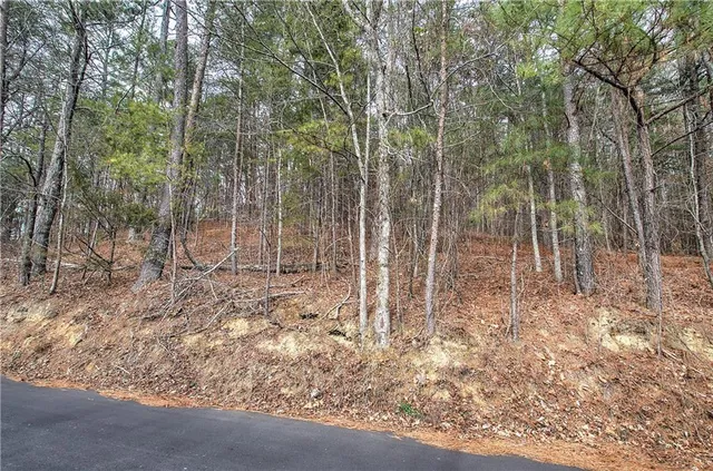 a view of a yard with trees