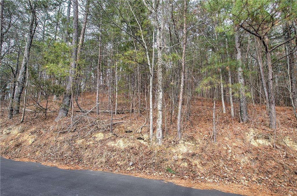 0 Manning Mill Road Summerville, GA 30747 - Photo 3 of 20 a view of a yard with trees