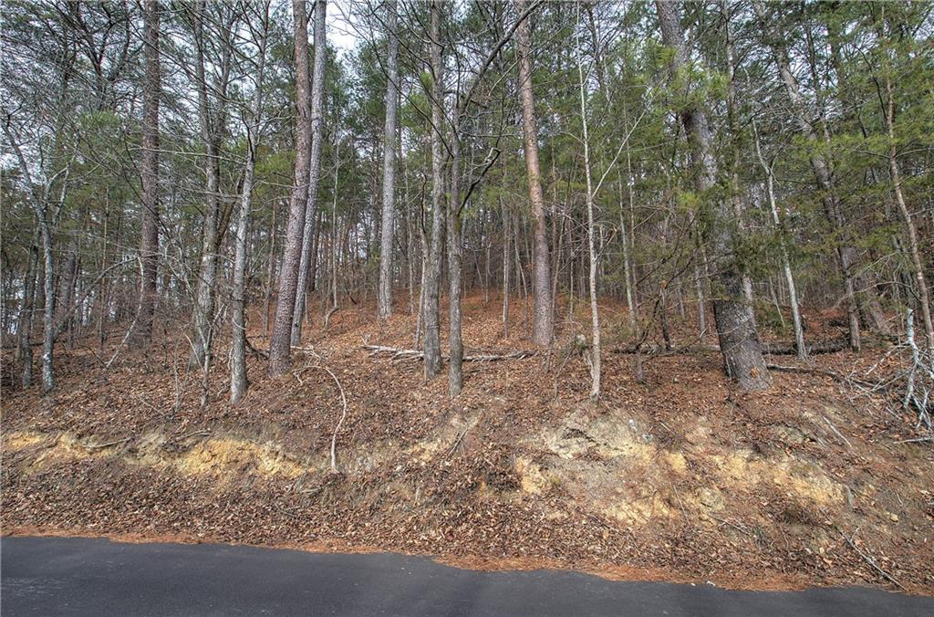 0 Manning Mill Road Summerville, GA 30747 - Photo 4 of 20 a view of outdoor space and green space