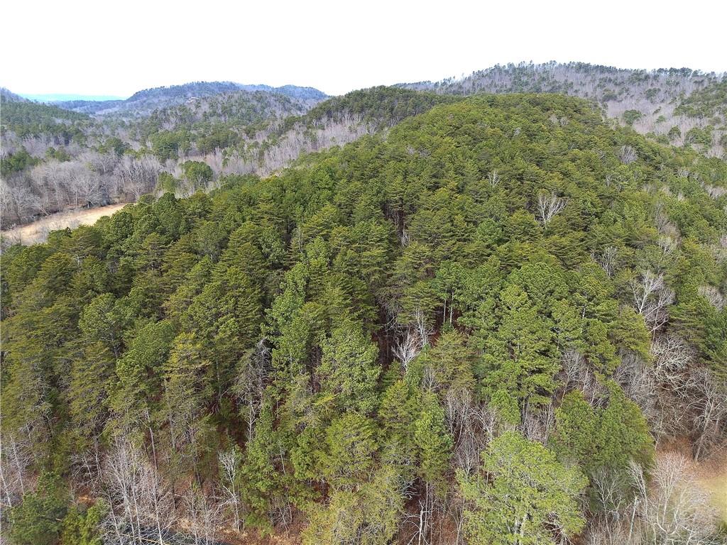 0 Manning Mill Road Summerville, GA 30747 - Photo 5 of 20 a view of a lush green field