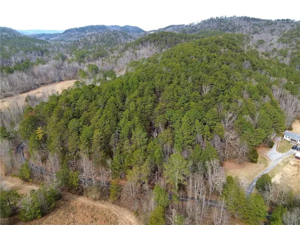 a view of a mountain with a tree in the background