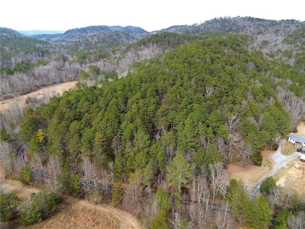 0 Manning Mill Road Summerville, GA 30747 - Photo 6 of 20 a view of a mountain with a tree in the background