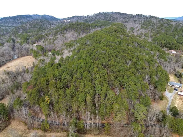 a view of a mountain with a tree in the background