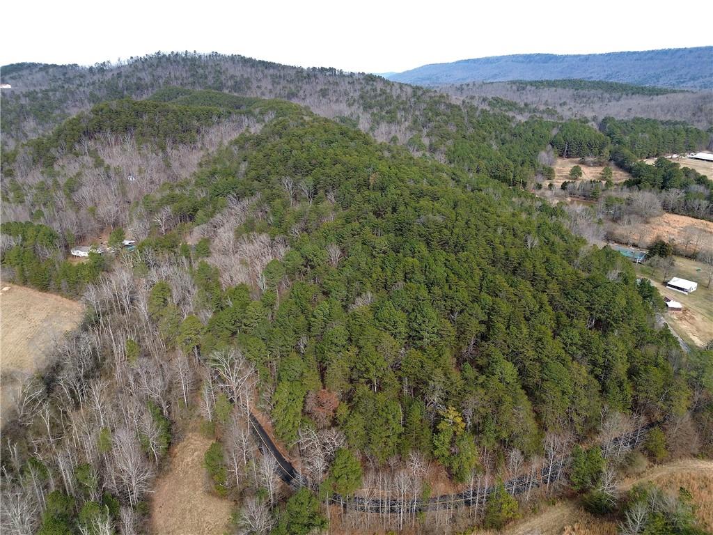 0 Manning Mill Road Summerville, GA 30747 - Photo 9 of 20 a view of a mountain with a tree in front of it