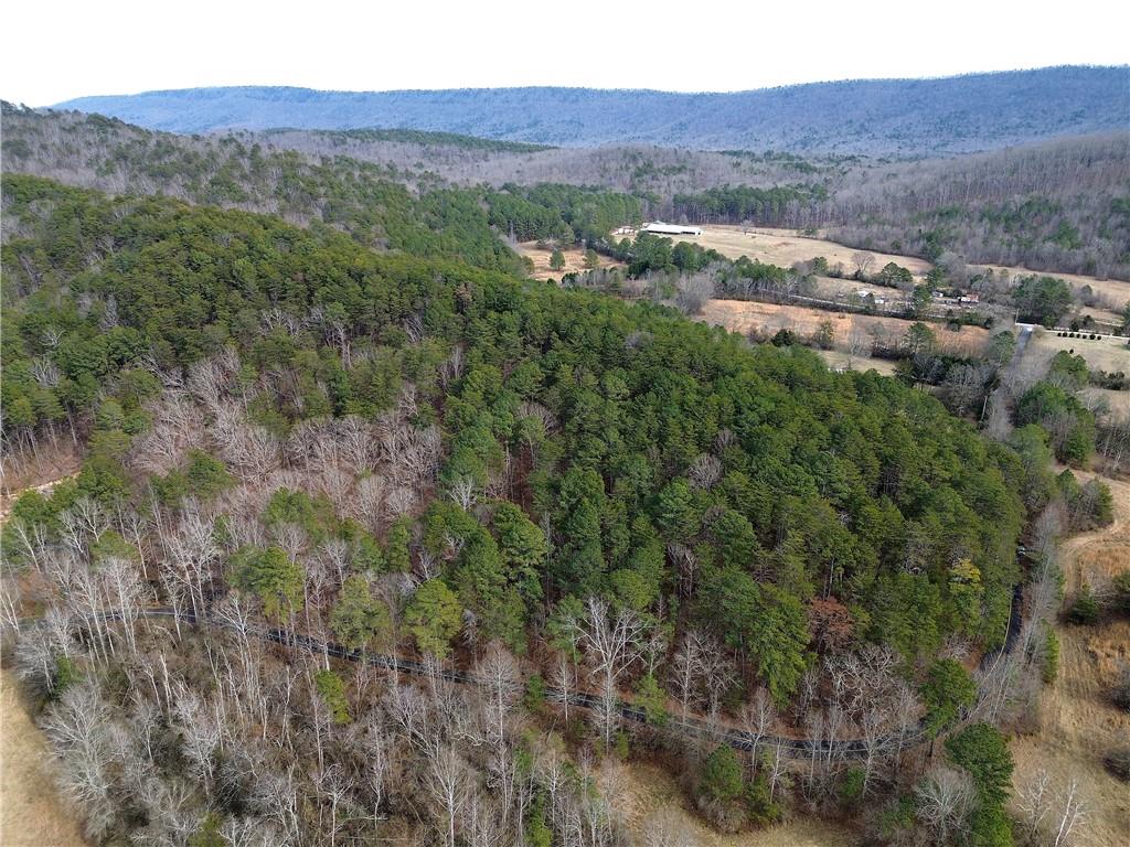 0 Manning Mill Road Summerville, GA 30747 - Photo 10 of 20 a view of a lush green hillside and a building