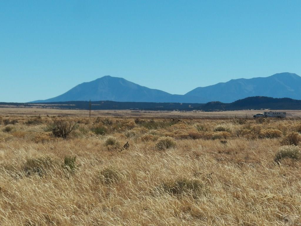 Tbd Tbd Sun River Road Walsenburg, CO 81089 - Photo 8 of 19