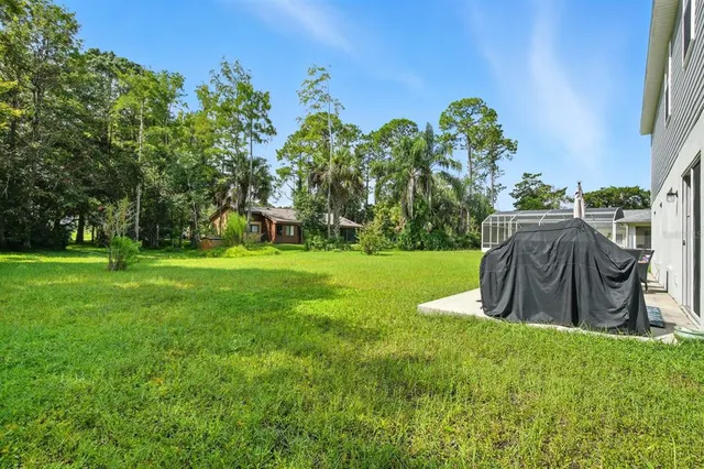 a view of a park with large trees