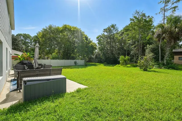 a view of a garden with plants