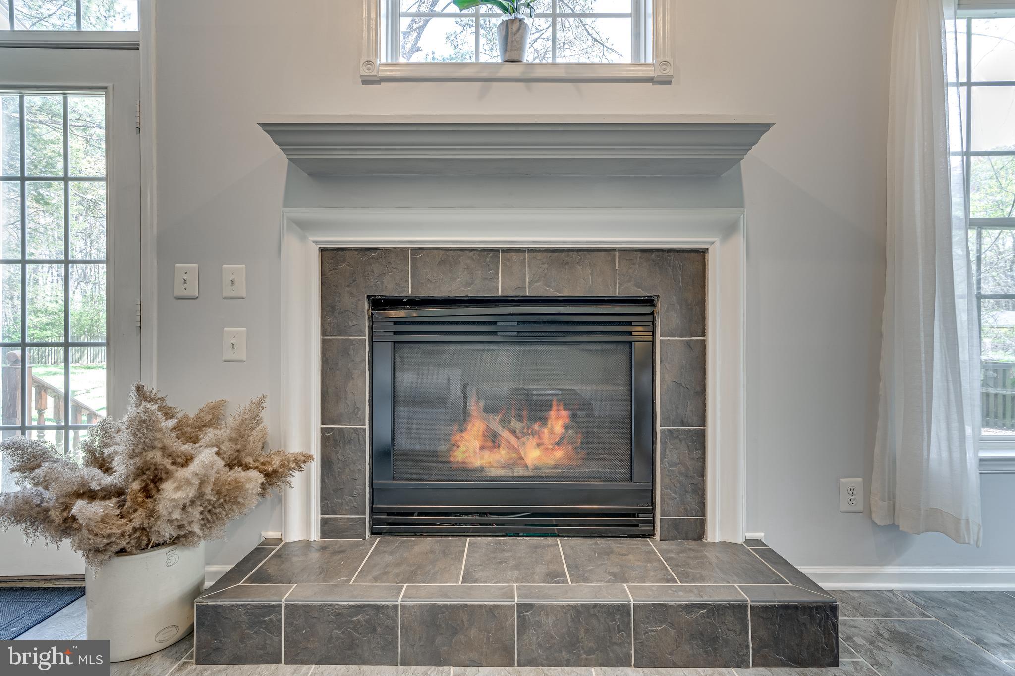 13406 Lore Pines Lane Solomons, MD 20688 - Photo 17 of 50 gas fireplace