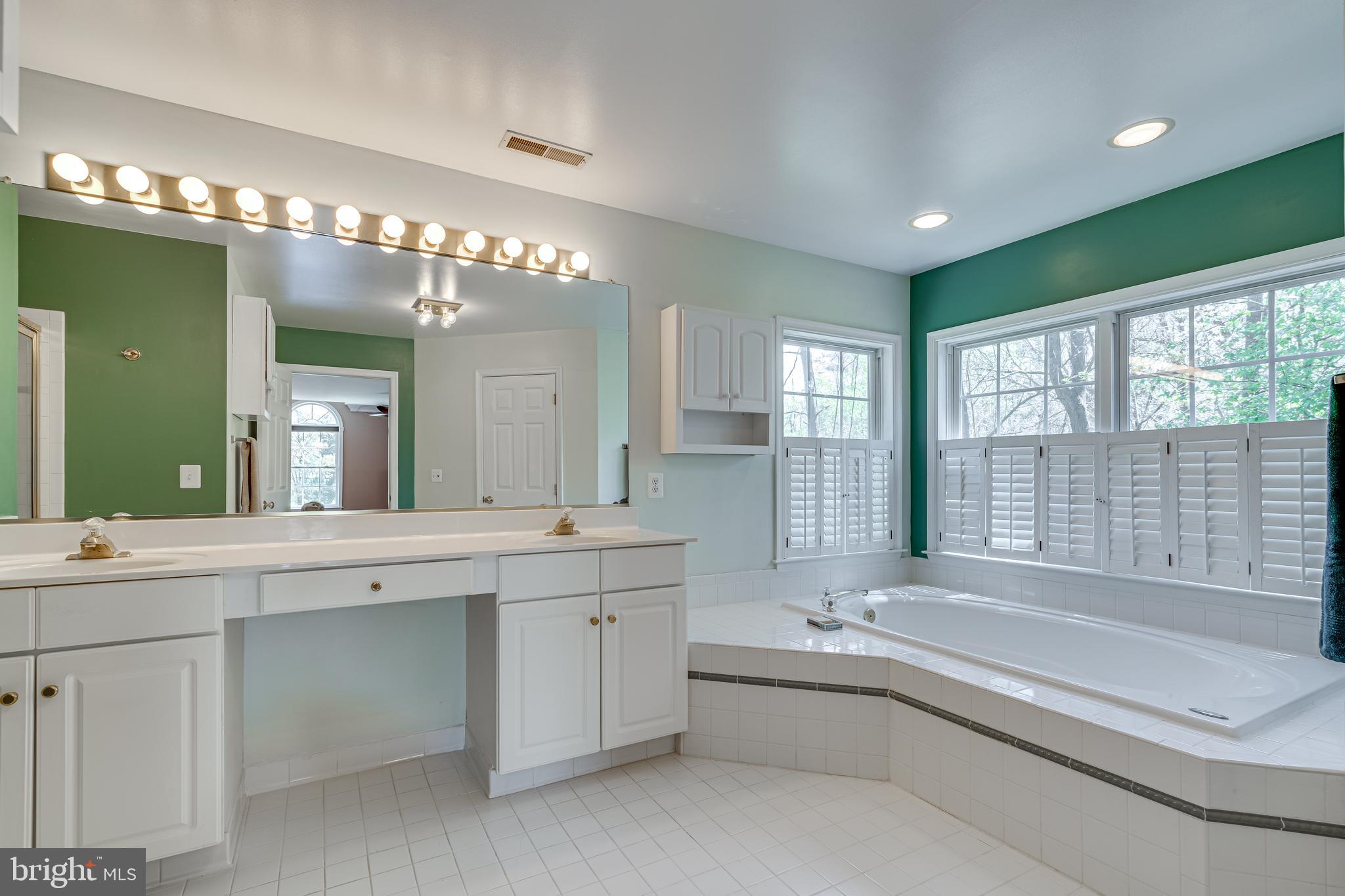 13406 Lore Pines Lane Solomons, MD 20688 - Photo 22 of 50 owners bath