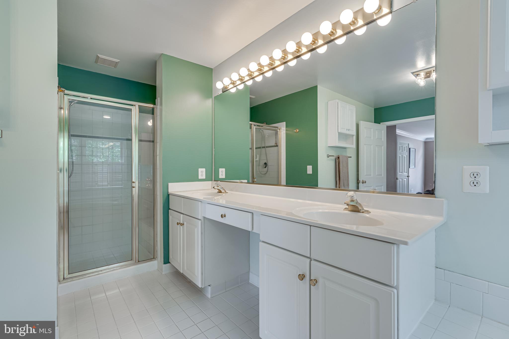 13406 Lore Pines Lane Solomons, MD 20688 - Photo 23 of 50 owners bath