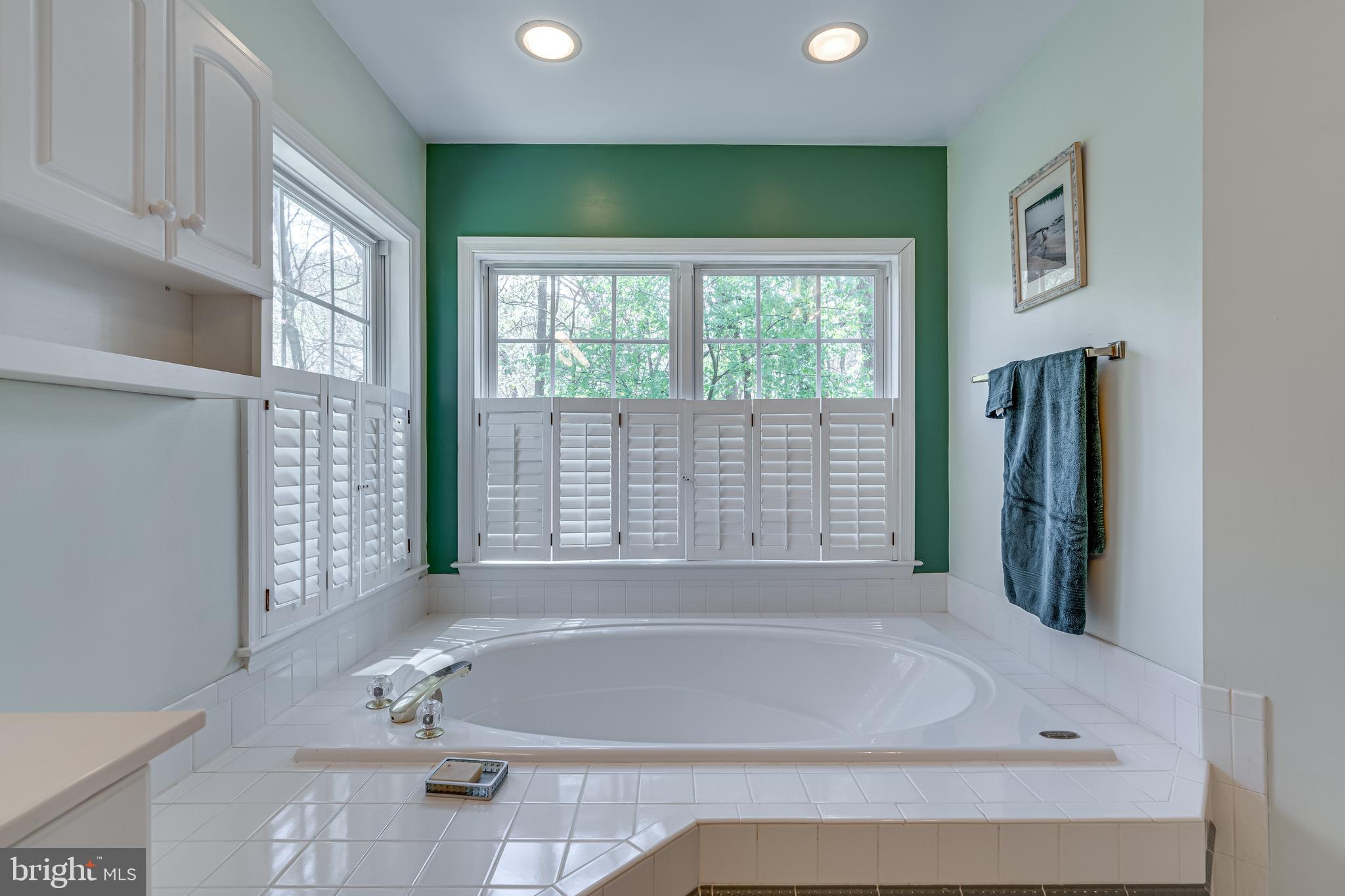 13406 Lore Pines Lane Solomons, MD 20688 - Photo 24 of 50 owners bath