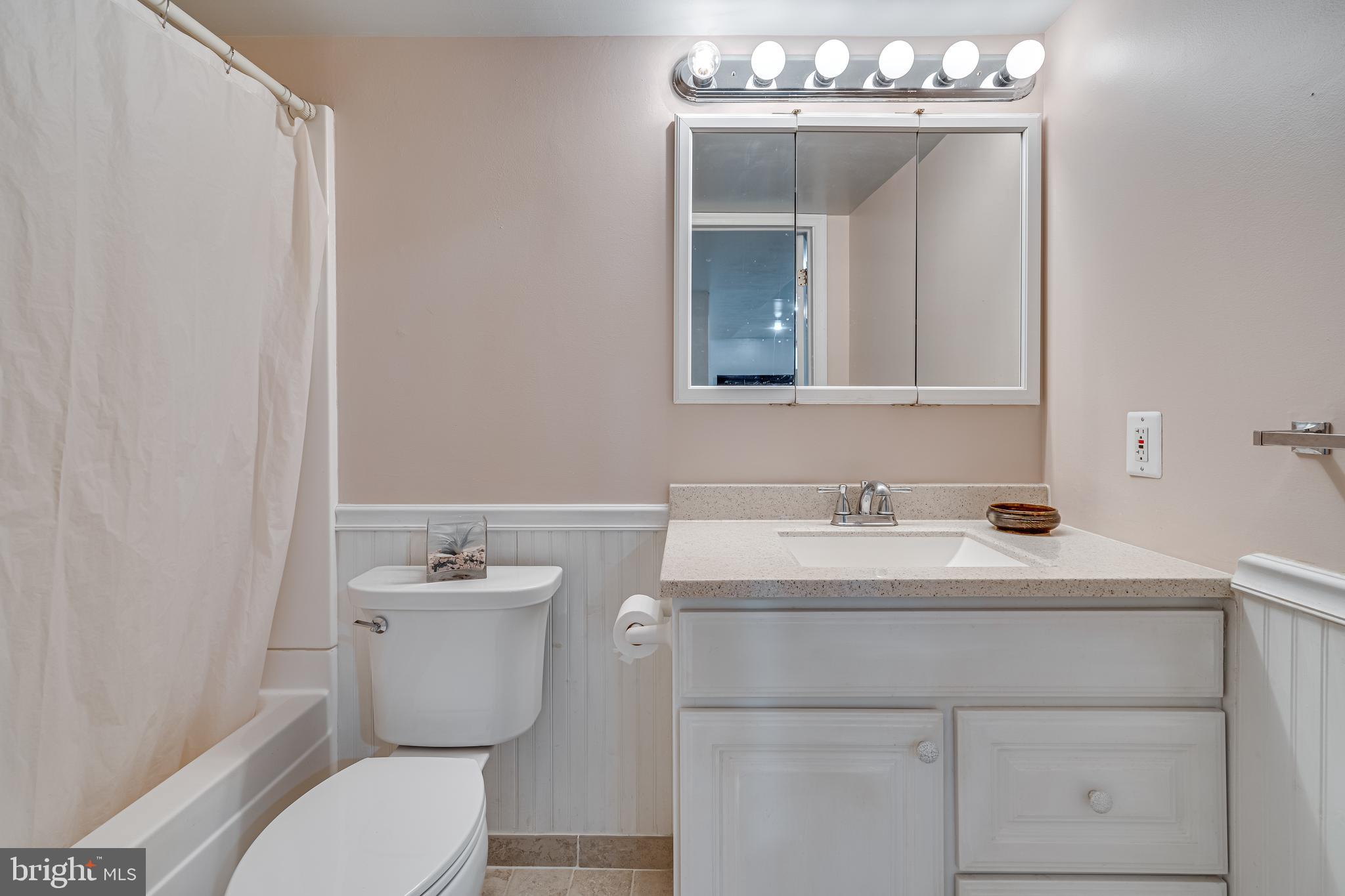 13406 Lore Pines Lane Solomons, MD 20688 - Photo 37 of 50 lower level full bath