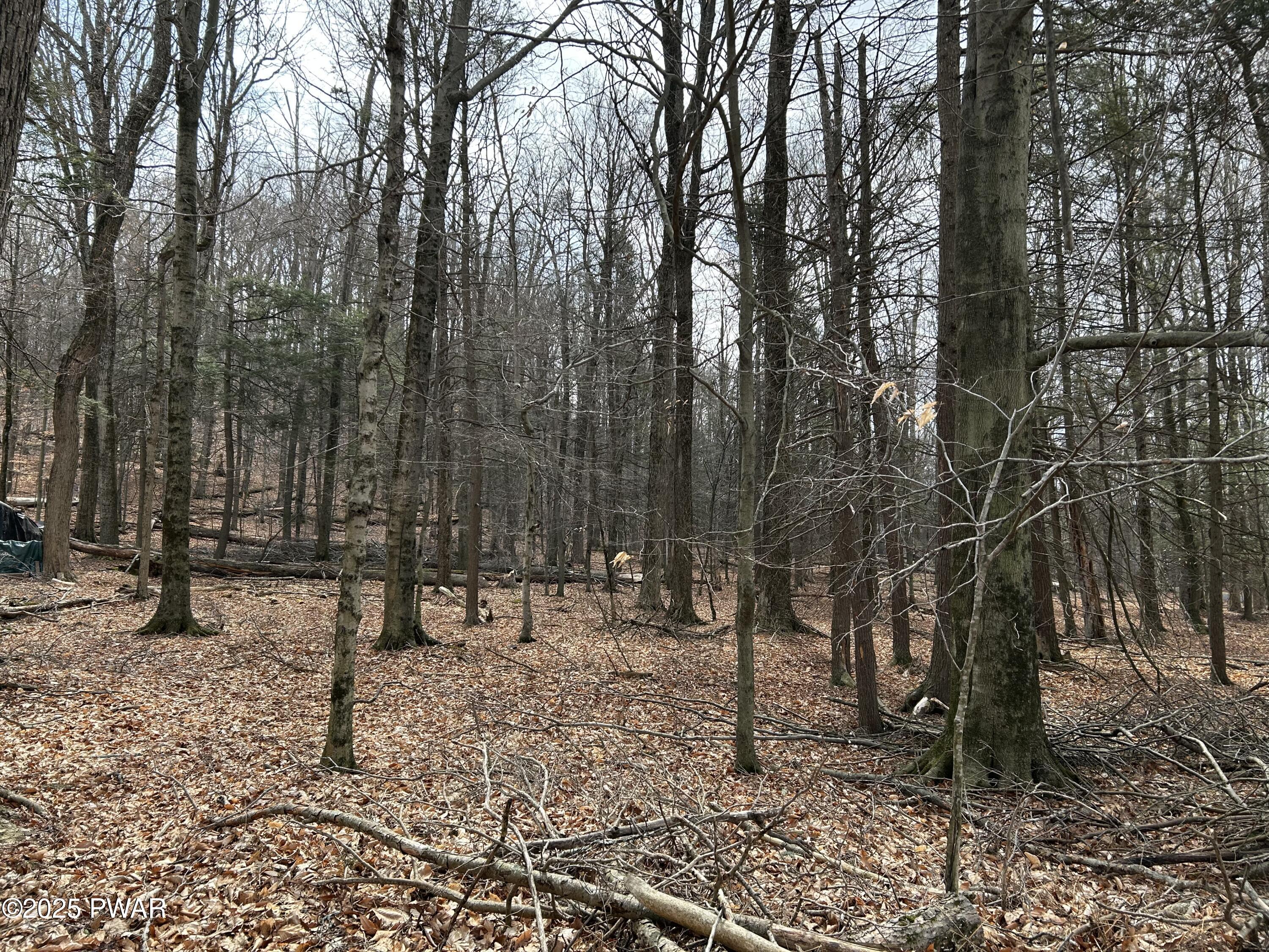 133 Upper Well Road Greentown, PA 18426 - Photo 6 of 10 Lot View