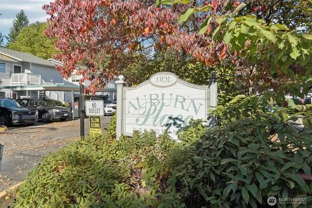 a sign board with a tree in front of it