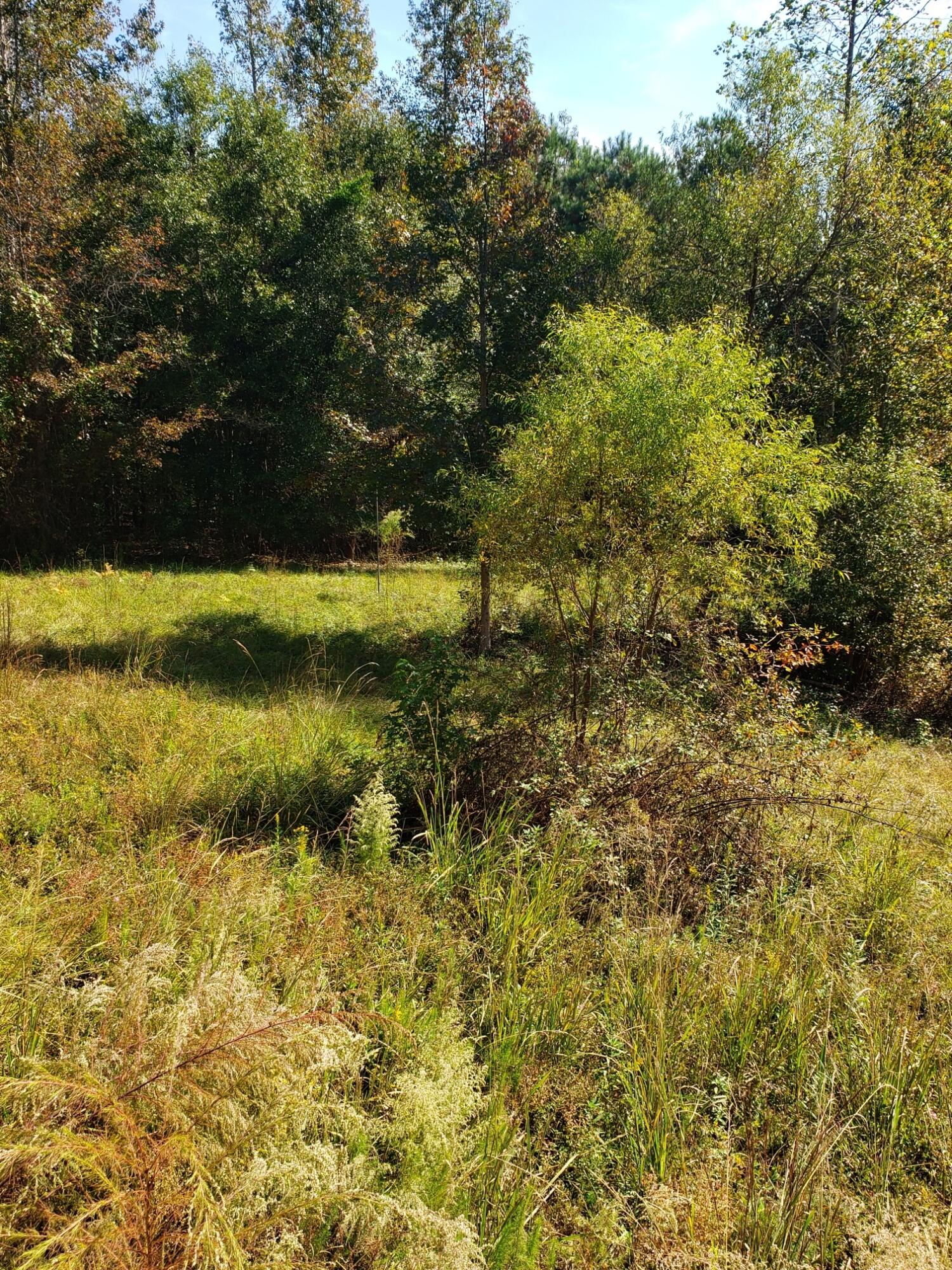 587 Bennock Mill Road Augusta, GA 30906 - Photo 6 of 23 20221025_124601_resized_1
