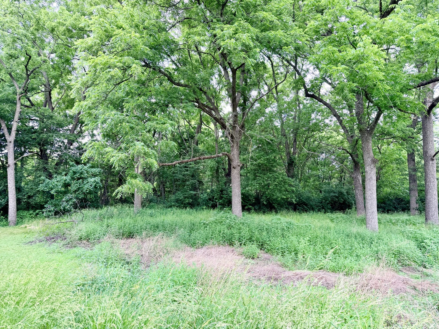 26029 North 1100 E Road Cornell, IL 61319 - Photo 2 of 5