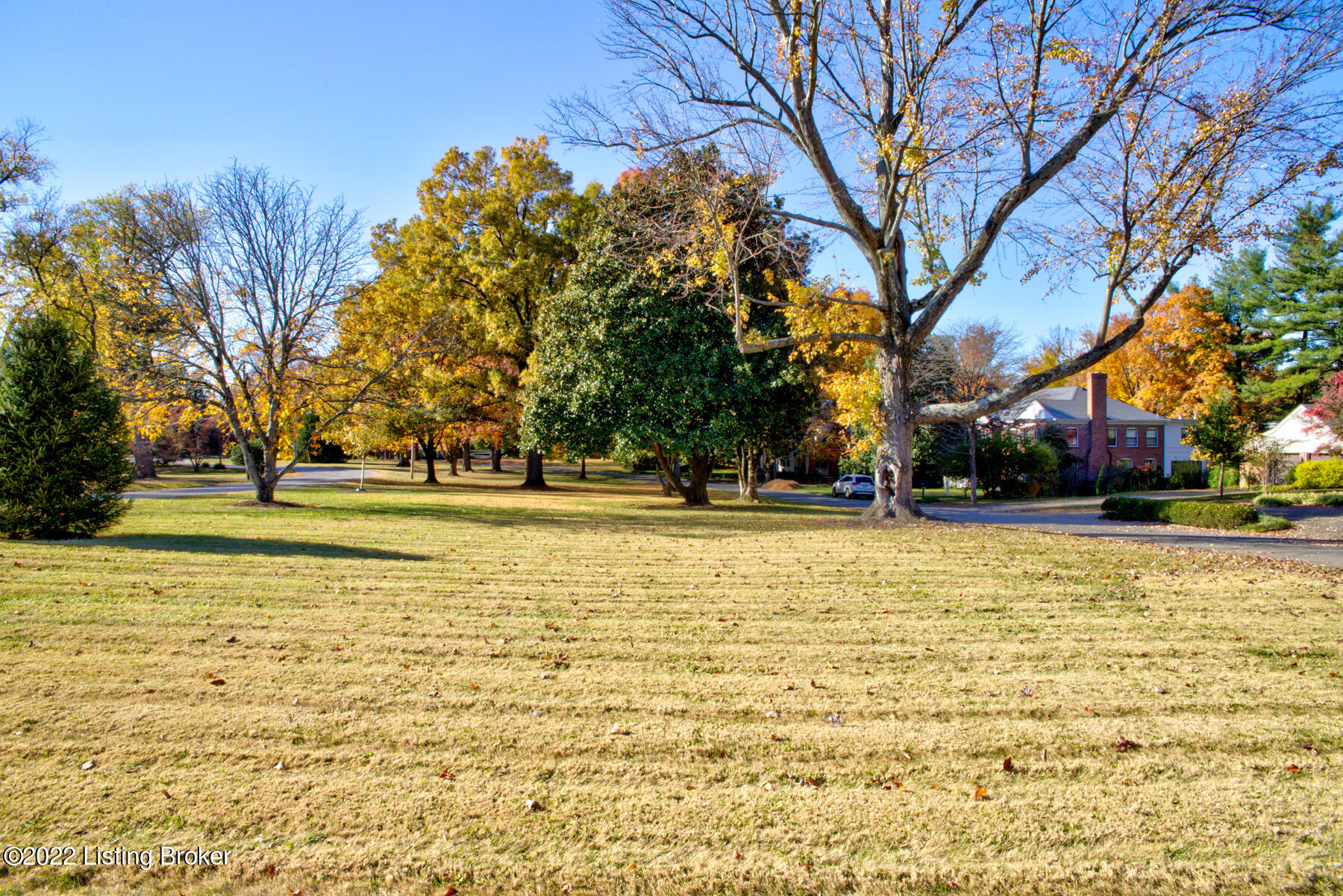 139 Sagamore Road Louisville, KY 40207 - Photo 39 of 42 39