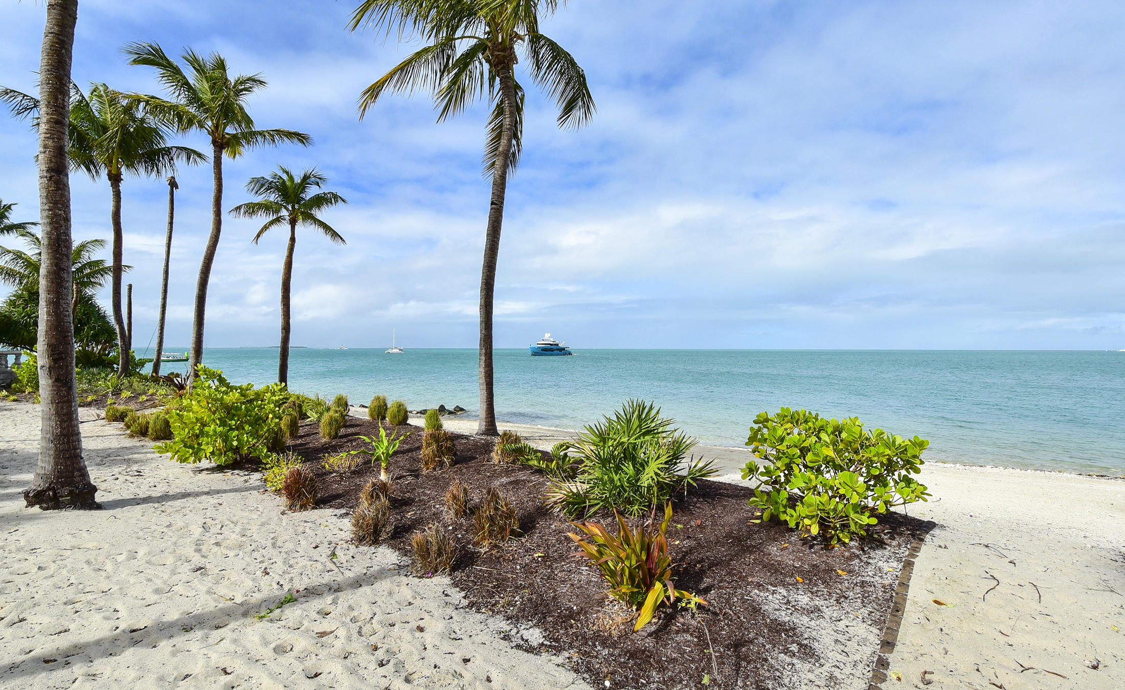 5 Sunset Key Drive Key West, FL 33040 - Photo 4 of 37 a view of a garden with a palm tree