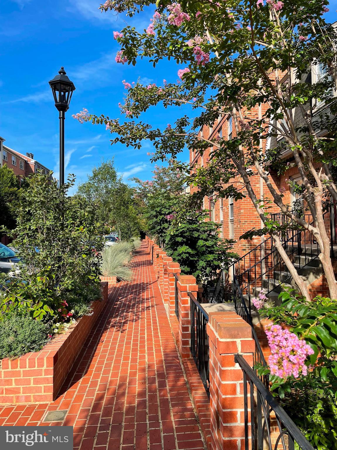 1648 Beekman Place Northwest, Unit D Washington, DC 20009 - Photo 31 of 37 Community Walkway