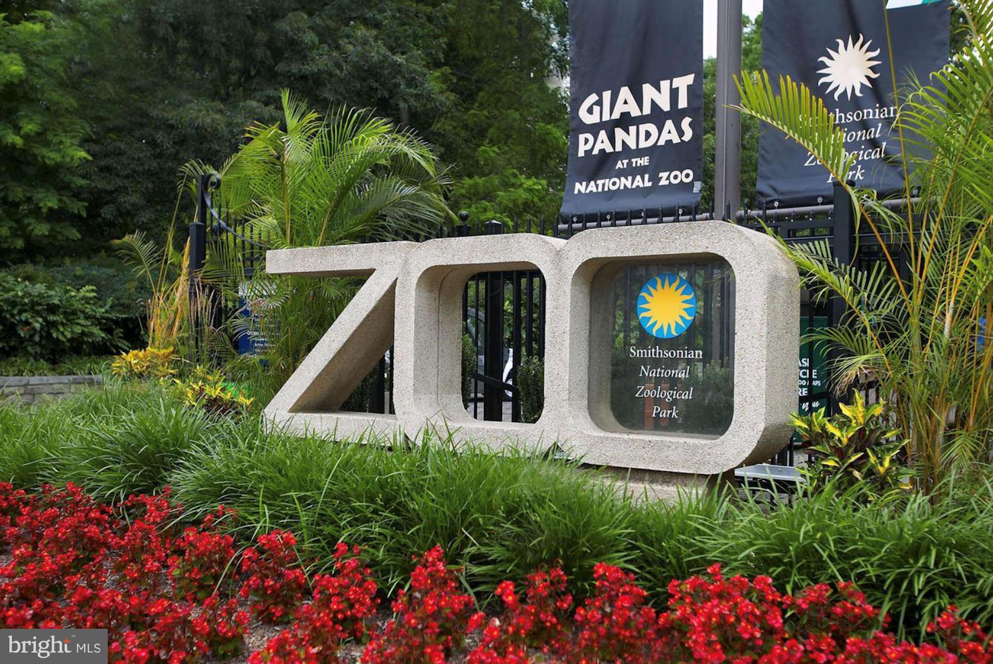 1648 Beekman Place Northwest, Unit D Washington, DC 20009 - Photo 35 of 37 National Zoo