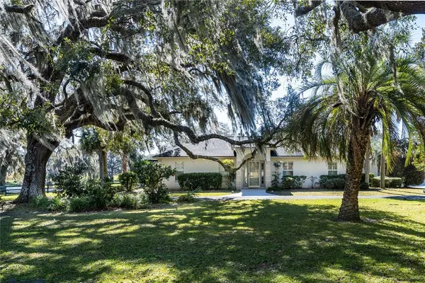 a view of yard with large trees
