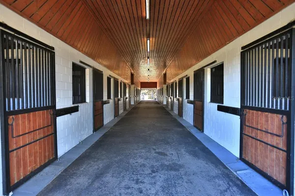 a view of a swimming pool with a yard