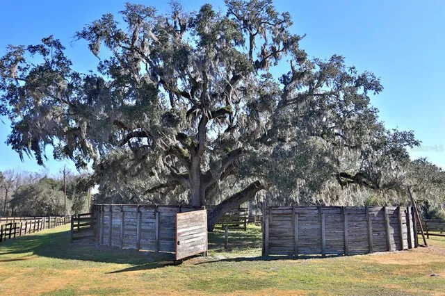 $8,450,000 | 12853 Northwest 90th Avenue, Reddick, FL 32686