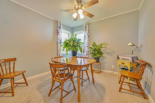 a dining room with furniture and a potted plant