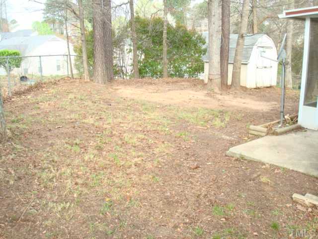 Back Yard
