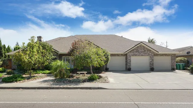 a view of a house with a yard plants and large tree