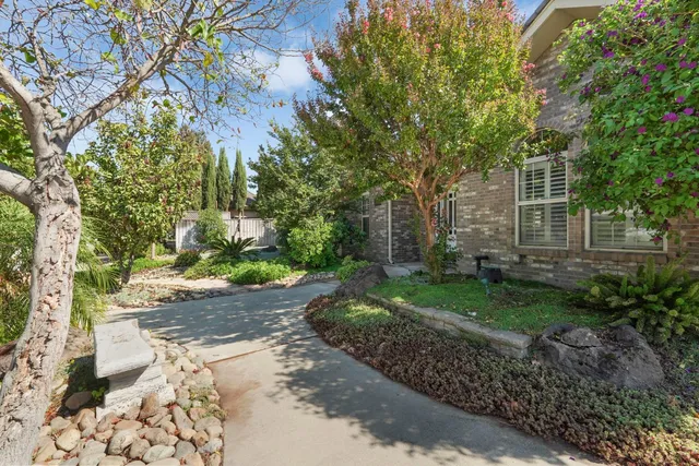 a view of a yard with plants and trees