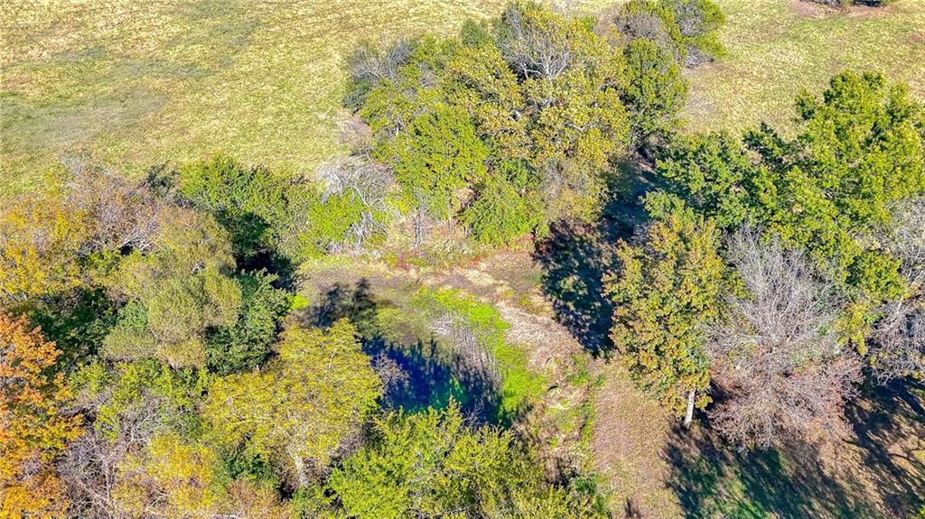 833 Southwest 1101st Road Holden, MO 64040 - Photo 37 of 61