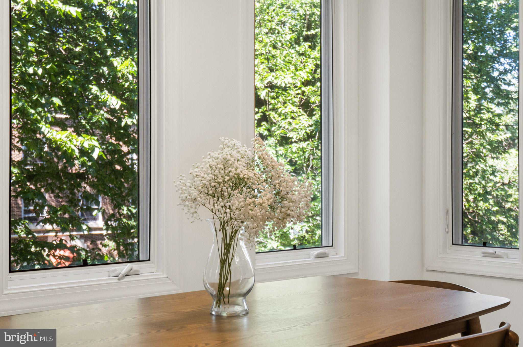 2032 Belmont Road Northwest, Unit 211 Washington, DC 20009 - Photo 19 of 63