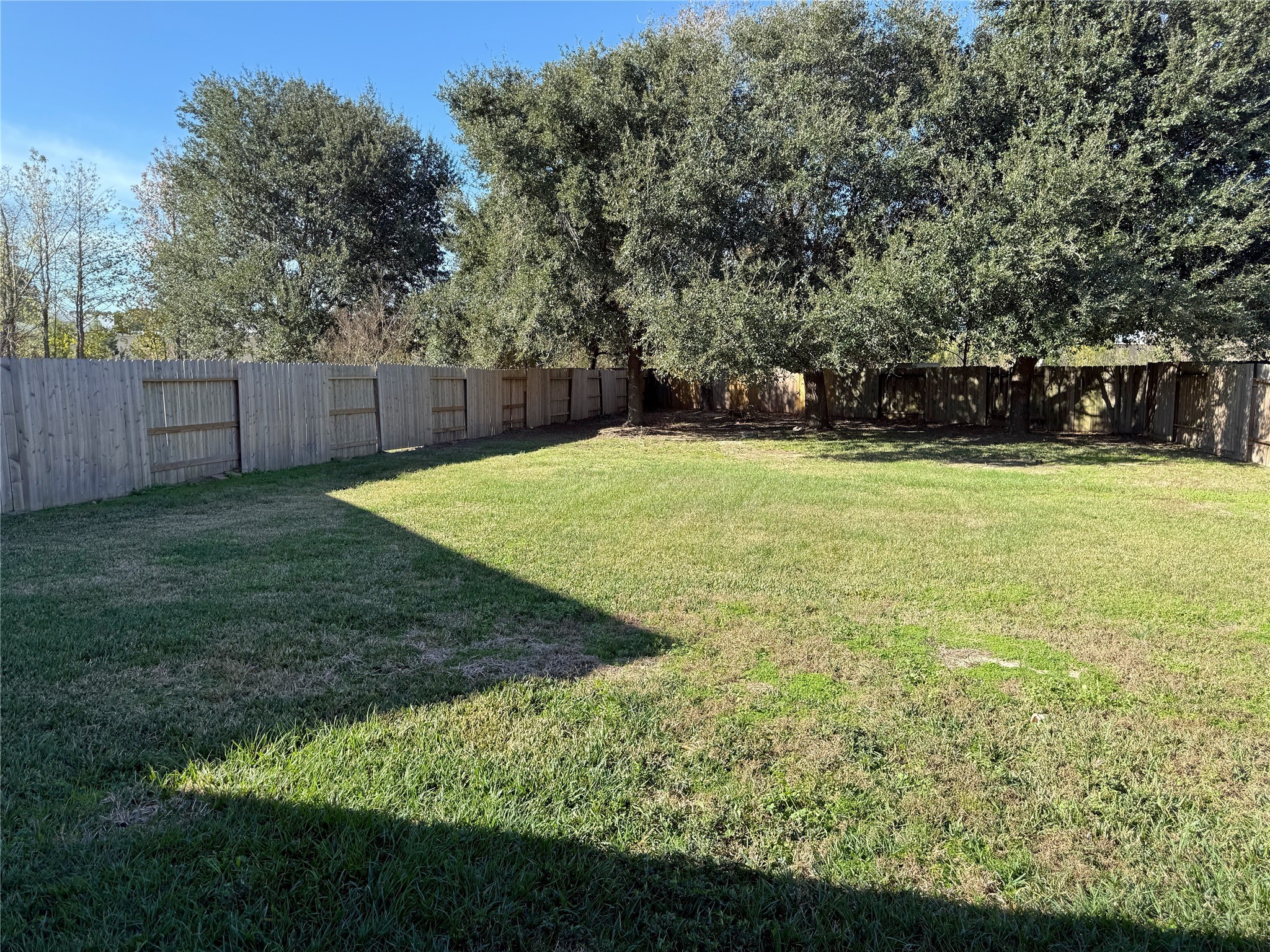 21608 Anvil Lane Porter, TX 77365 - Photo 23 of 42 Look at the size of this yard!