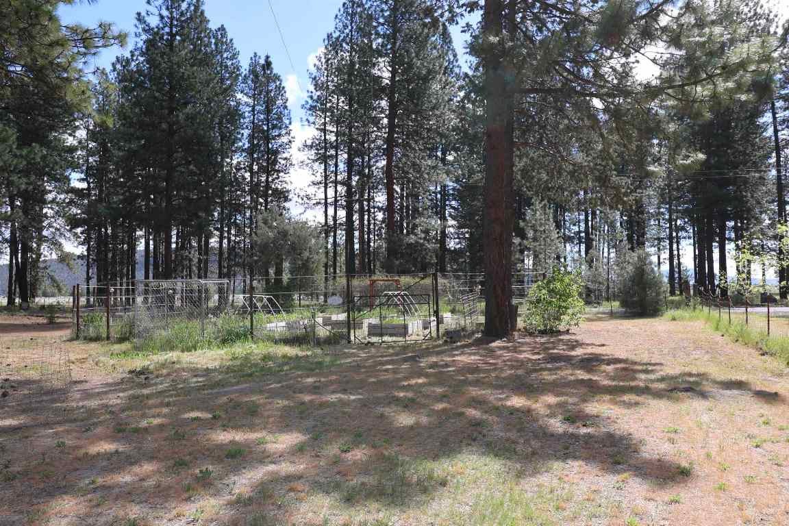 7838 School House Road Dorris, CA 96023 - Photo 15 of 47 Gallery Image 15