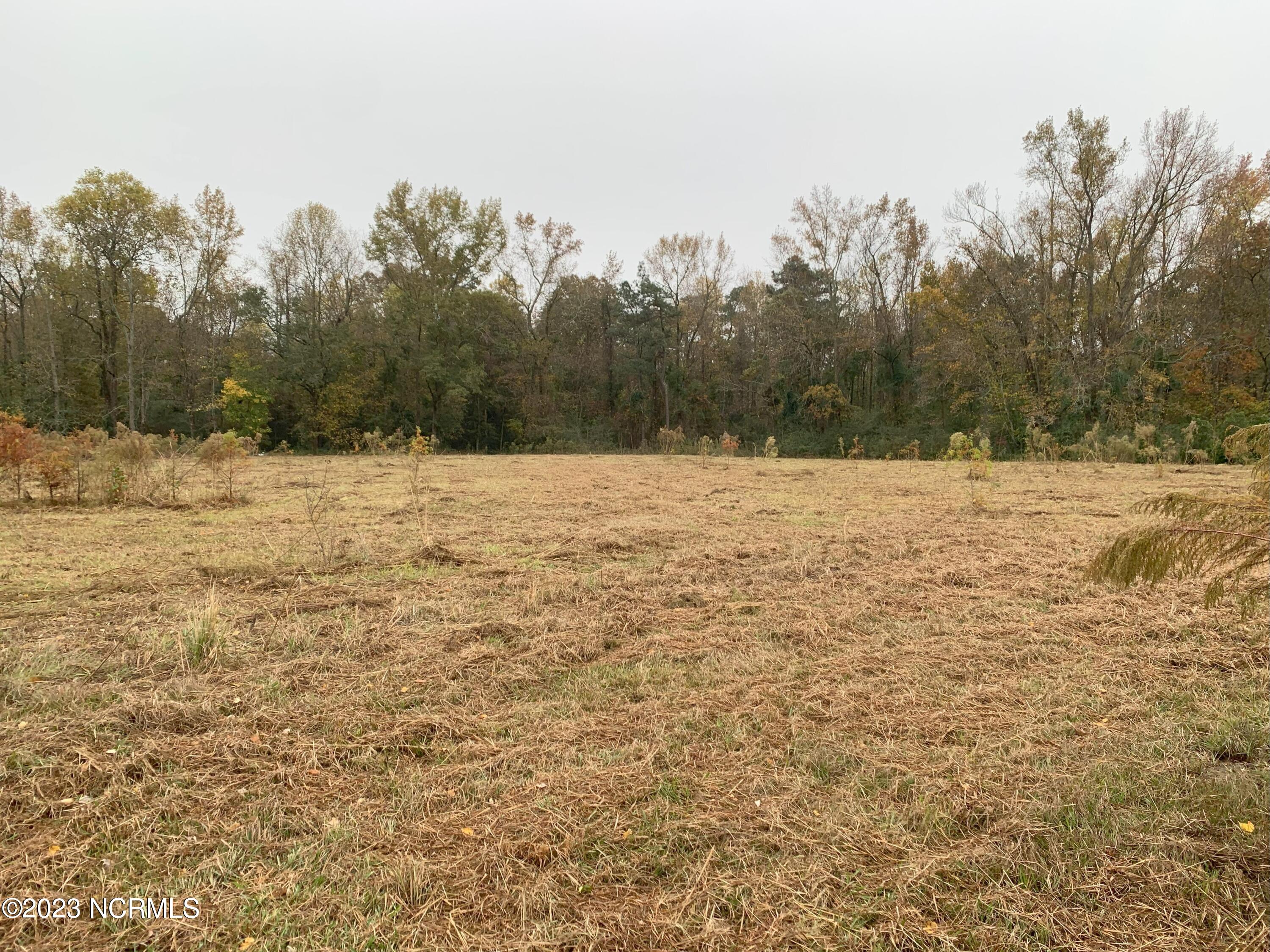 Lot 1 Englishtown Road Willard, NC 28478 - Photo 6 of 12 IMG_6952