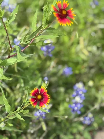 a view of a sign in a garden