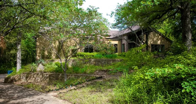 a view of backyard of house
