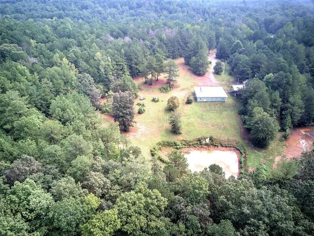 a view of a forest with trees in the background