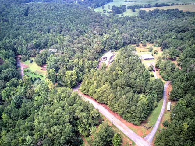 a view of a forest with trees in the background